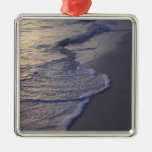Dominikanische Republik, Karibisches Meer, Punta C Ornament