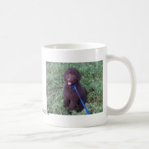 DoodlePoodle Jason Kaffeehaferl
