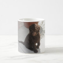 DoodlePoodle Kaffeehaferl