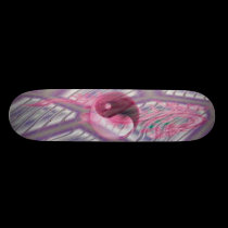 Drache-Nest-Weiß-Skateboard skateboards