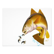 DRAUFGÄNGER slogans#11-redfish-cutout Individuelle Ankündigskarten