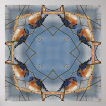 Drossel-Natur-abstraktes Kaleidoskop-Plakat