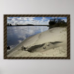 Dune de sable au bord du fleuve Missouri Affiches