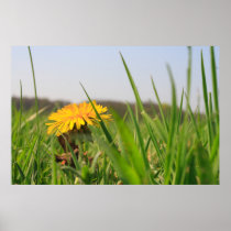 Durchs Grün Plakate