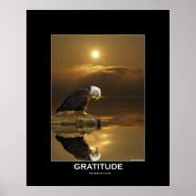 Eagle chauve et affiche de lumière du soleil