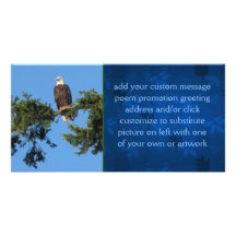 Eagle im Baum Bilderkarte