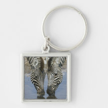 Eau potable de deux zèbres (quagga d'Equus), Porte-clef