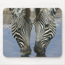 Eau potable de deux zèbres (quagga d'Equus), Tapis De Souris