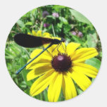 Ebenholz Jewelwing auf Schwarz-mit Augen Susan Runder Sticker