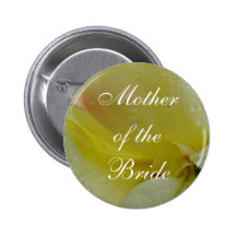 Éclaboussure de ressort badge
