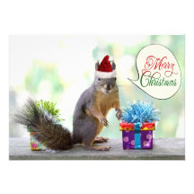 Écureuil de Noël avec des cadeaux de Noël Bristol