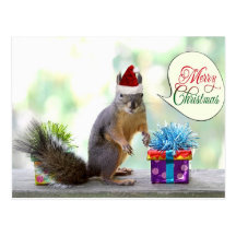 Écureuil de Noël avec des cadeaux de Noël Cartes Postales