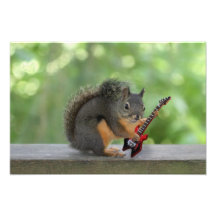Écureuil jouant la guitare électrique impressions photo