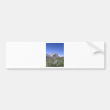 Edelweiss and Matterhorn Bumper Sticker