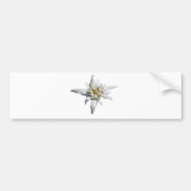 Edelweiss Bumper Stickers