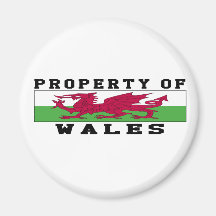 Eigentum von Wales Kühlschrankmagnet