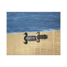 Ein kühler Swim. Gespannter Galeriedruck