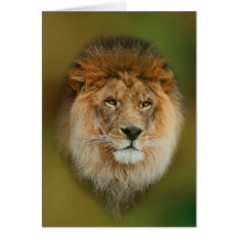 Ein majestätischer Löwe Karten