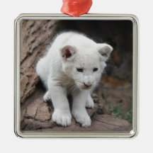Ein niedlicher Babyweißlöwe Weihnachtsornament