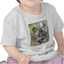 Ein niedliches kleines kanadisches Luchs-Kätzchen T-shirt