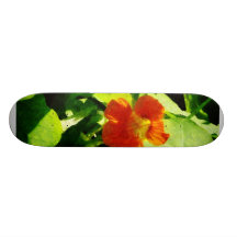 Ein orange Kapuzinerkäse Personalisierte Skateboards