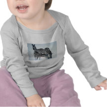 Ein Spiel auf Streifen, Zebras Tshirts