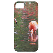 Ein Stück vom Paradies Flamingos Hülle Fürs iPhone 5