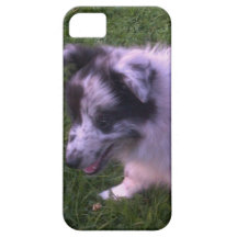 Ein süßer kleiner baby shelty schutzhülle fürs iPhone 5