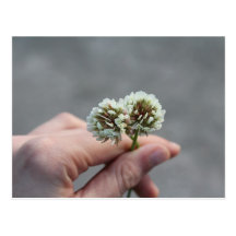 Einheit Blumen Postkarten