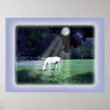 Einhorn im Mondschein Plakate