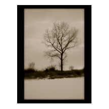 Einsamer Winter Postkarten