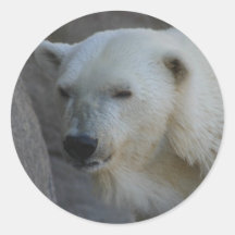 Eisbär-Aufkleber