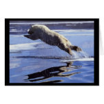 Eisbär-Sprungs-Anmerkungs-Karte