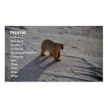 Eisbär Visitenkarten