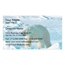 Eisbär Visitenkartenvorlagen