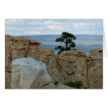 EL Morro 8 Cartes De Vœux