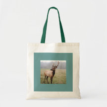 ELCHE BULL TASCHE