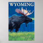 Elche nachts - Wyoming Plakate