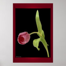 Eleganter Tulpe-Druck Posterdruck