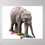 Éléphant faisant de la planche à roulettes poster