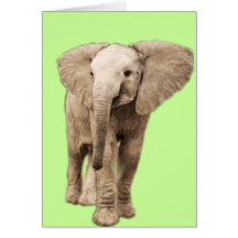 Éléphant mignon de bébé carte