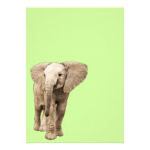 Éléphant mignon de bébé faire-parts