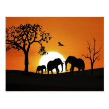 Éléphants au coucher du soleil carte postale