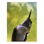 Engel Wings Reihe Postkarte