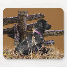 Englisch Cocker spaniel Mauspad