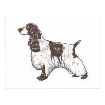 Englisch Cocker spaniel Postkarten