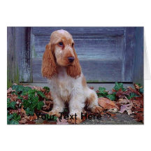 Englische Cockerspaniel-Spaniels Karte