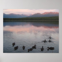 Enten auf See u. Chugach Bergen Plakatdruck