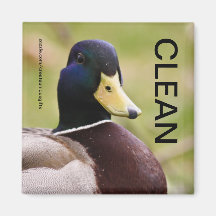 Enten-sauberer schmutziger Spülmaschinen-Magnet Kühlschrankmagnete
