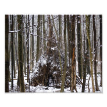 Épreuve photographique solitaire du Teepee 10x8